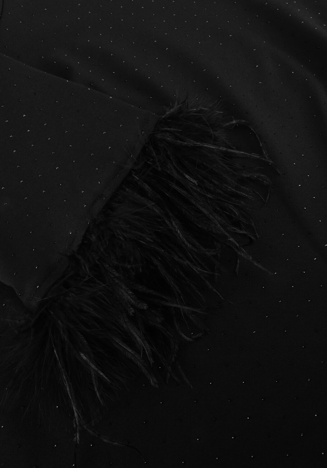 Schwarze ANA ALCAZAR Minikleid DRESS FEATHERS - large