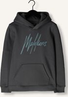 Graue MALELIONS Pullover & Cardigans SIGNATURE HOODIE Graue MALELIONS Pullover & Cardigans SIGNATURE HOODIE - medium