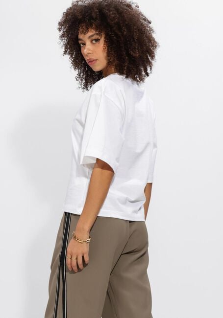 Mehrfarbige/Bunte CO'COUTURE Tops & T-shirts ZENGACC TEE O-NECK - large