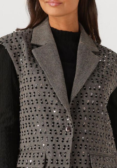 Graue AAIKO Blazer IVANNA  PES 255 - large