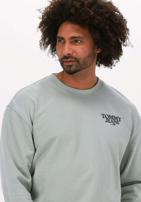 Olive TOMMY JEANS Sweatshirt TJM TONAL ENTRY GRAPHIC CREW - large