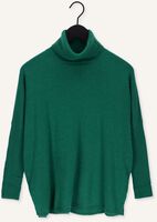 Grüne NOT SHY Pullover MARGARETH Grüne NOT SHY Pullover MARGARETH - medium