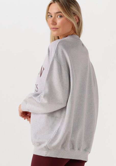 Hellgrau DEBLON SPORTS Sweatshirt LILOU SWEATER - large