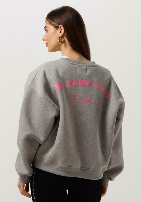 Hellgrau SOFIE SCHNOOR Sweatshirt S231249 - large