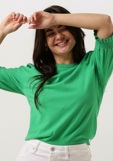 Grüne FABIENNE CHAPOT Pullover JOLLY PULLOVER - large