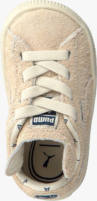 Beige PUMA Sneaker low PUMA X TC BASKET FURRY - large