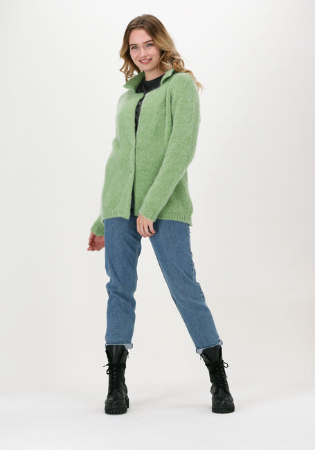 Grüne BELLAMY Strickjacke MABEL SHORT - large