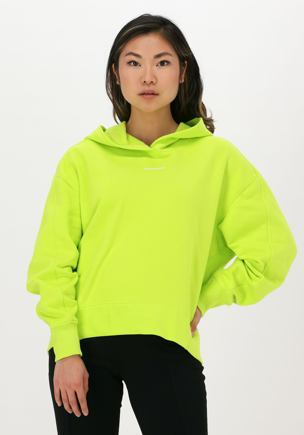 Grune CALVIN KLEIN Sweatshirt MICRO BRANDING HOODIE Omoda