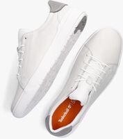 Weiße TIMBERLAND SENECA BAY OXFORD Sneaker low - medium