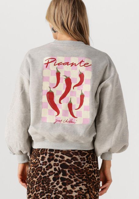 Graue YDENCE Sweatshirt SWEATER JUST CHILLIN - large