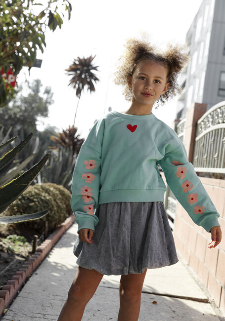 Graue AMMEHOELA Minirock IRIN - large