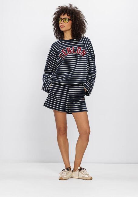 Dunkelblau DEBLON SPORTS Sweatshirt DANA STRIPED SWEATER - large