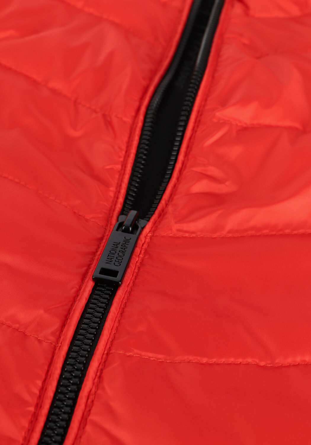 Rote NATIONAL GEOGRAPHIC Wattierte Jack JACKET WITH FILLER - large