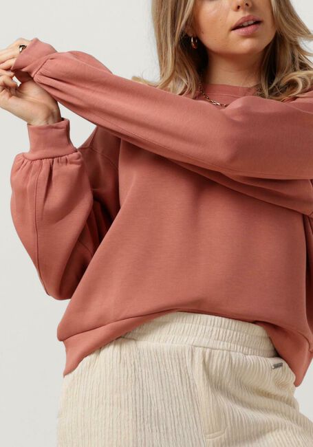 Orangene MSCH COPENHAGEN Sweatshirt MSCHJANELLE LIMA Q SWEATSHIRT - large