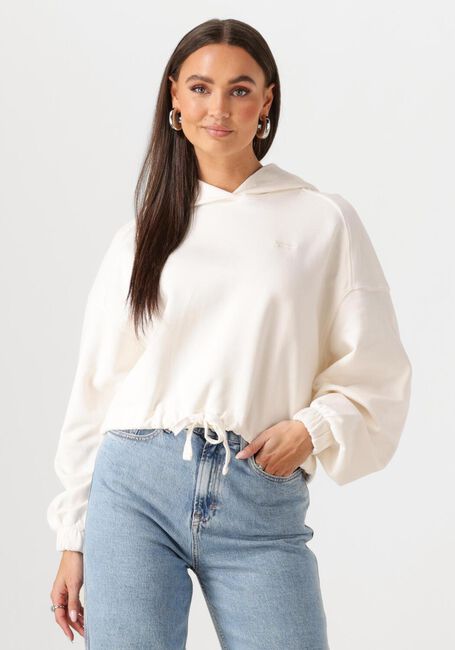 Ecru TOMMY JEANS Sweatshirt TJW CRP GMD SCRIPT HOODIE - large