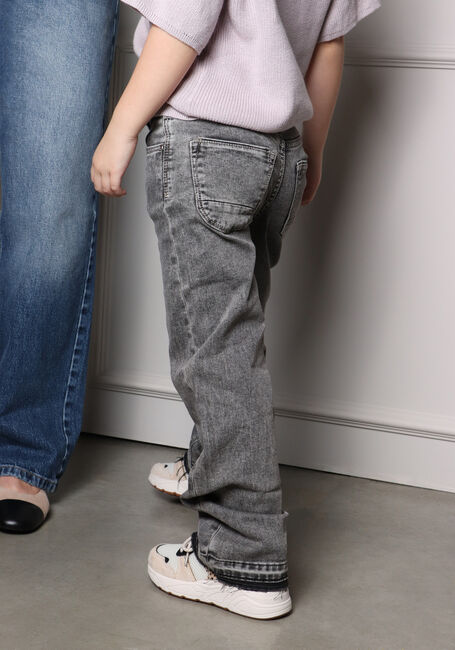 Graue RAIZZED Straight leg jeans SYDNEY - large