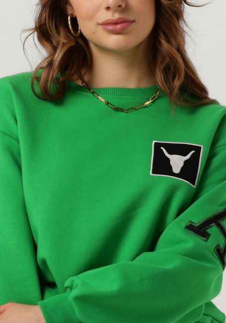 Gr&uuml;ne ALIX THE LABEL Sweatshirt LADIES KNITTED PATCH SWEATER - large
