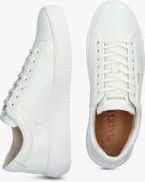 Weiße BLACKSTONE Sneaker low LYRA - medium