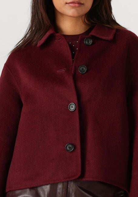 Bordeaux STUDIO AR Teddy-Jacke NICOLINA - large