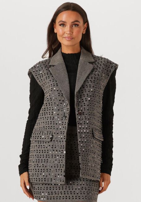 Graue AAIKO Blazer IVANNA  PES 255 - large