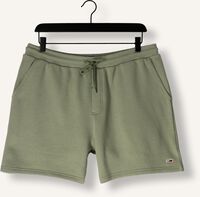 Grüne TOMMY JEANS Kurze Hose TJM S FLAG BEACH SHORT EXT Grüne TOMMY JEANS Kurze Hose TJM S FLAG BEACH SHORT EXT - medium