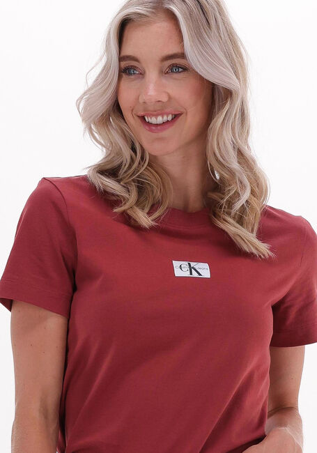 Braune CALVIN KLEIN T-shirt BADGE SEAMING TEE - large