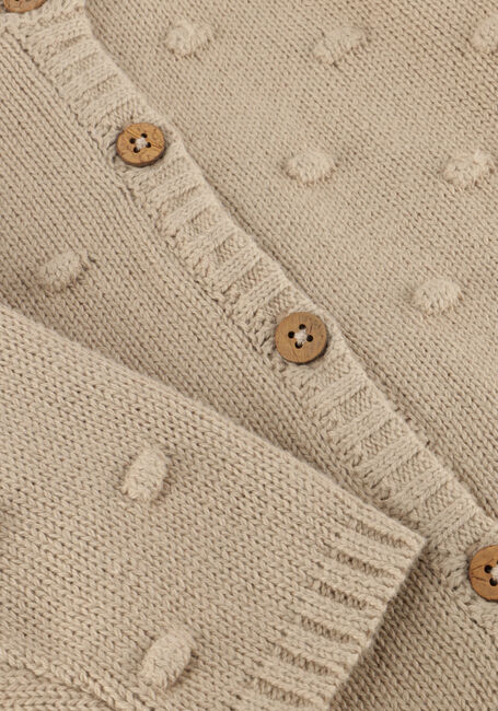 Beige LIL' ATELIER Strickjacke NBNGABLE LS KNIT CARD LIL - large