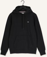 Schwarze TOMMY JEANS Pullover TJW REGULAR FLEECE HOODIE Schwarze TOMMY JEANS Pullover TJW REGULAR FLEECE HOODIE - medium