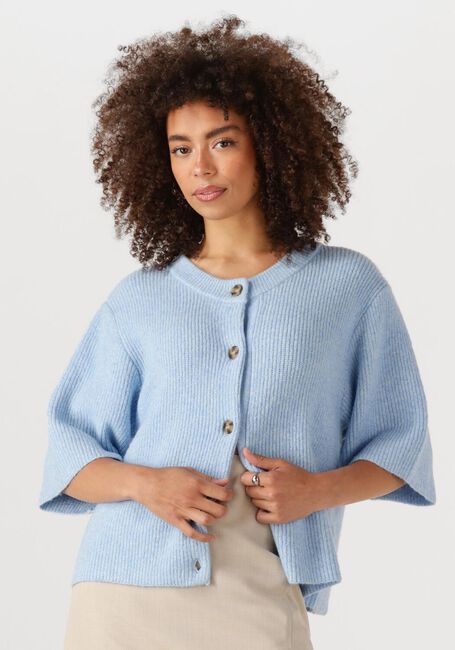 Hellblau MODSTRÖM Strickjacke NOEMD CARDIGIAN - large