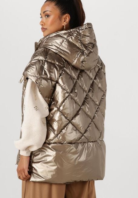 Metallisch NUKUS Wattierte Jack WILLOW JACKET METALLIC - large