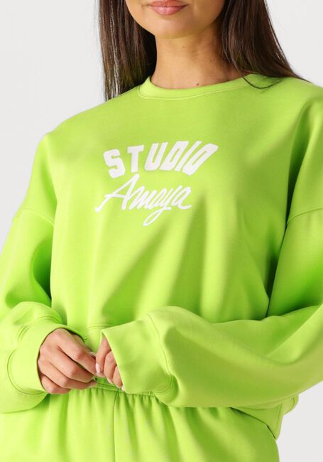 Gr&uuml;ne STUDIO AMAYA Pullover & Cardigans 261-ST6 - large