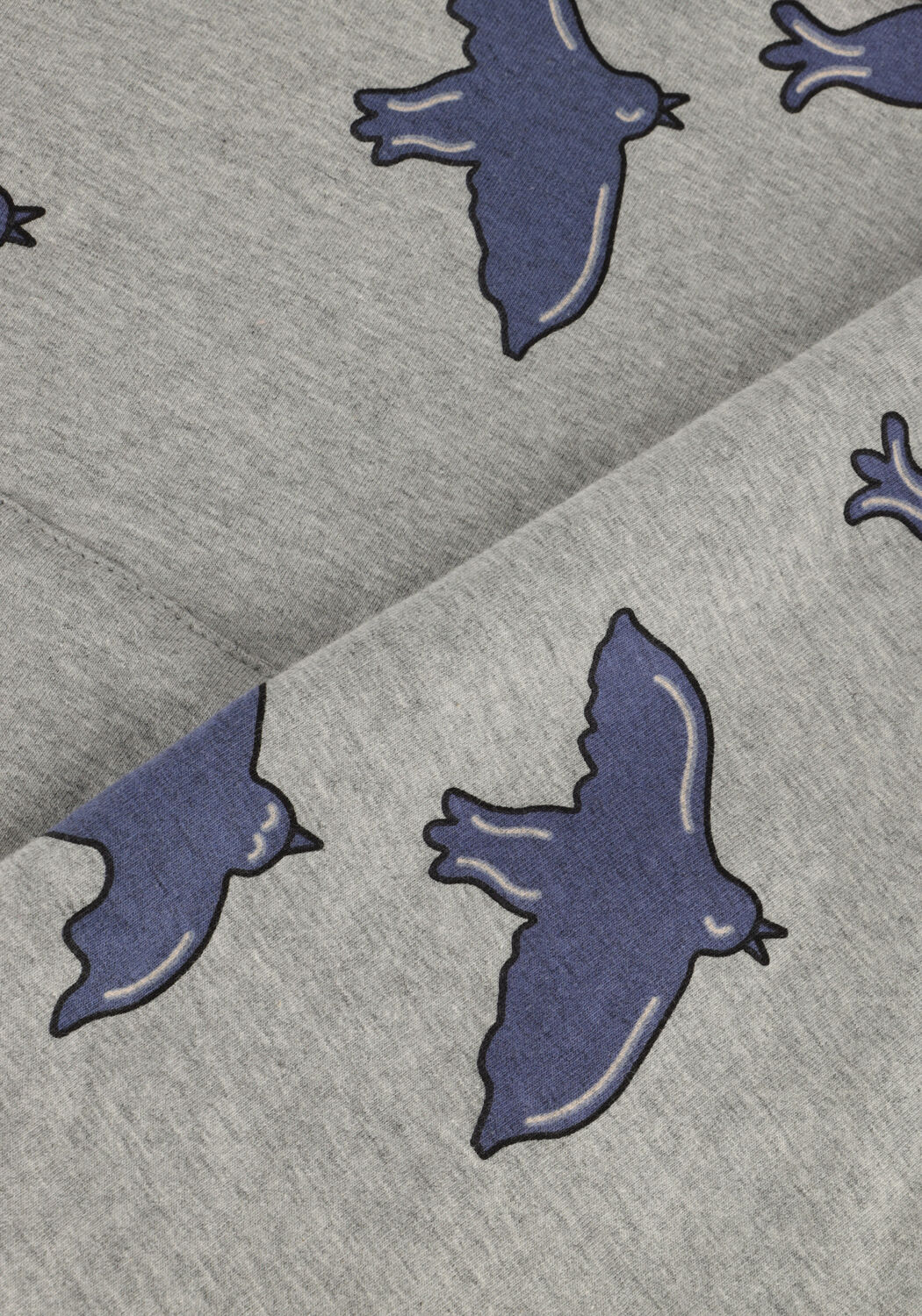 Graue CARLIJNQ Sweatshirt FREE LIKE A BIRD - HOODIE SWEATER - large