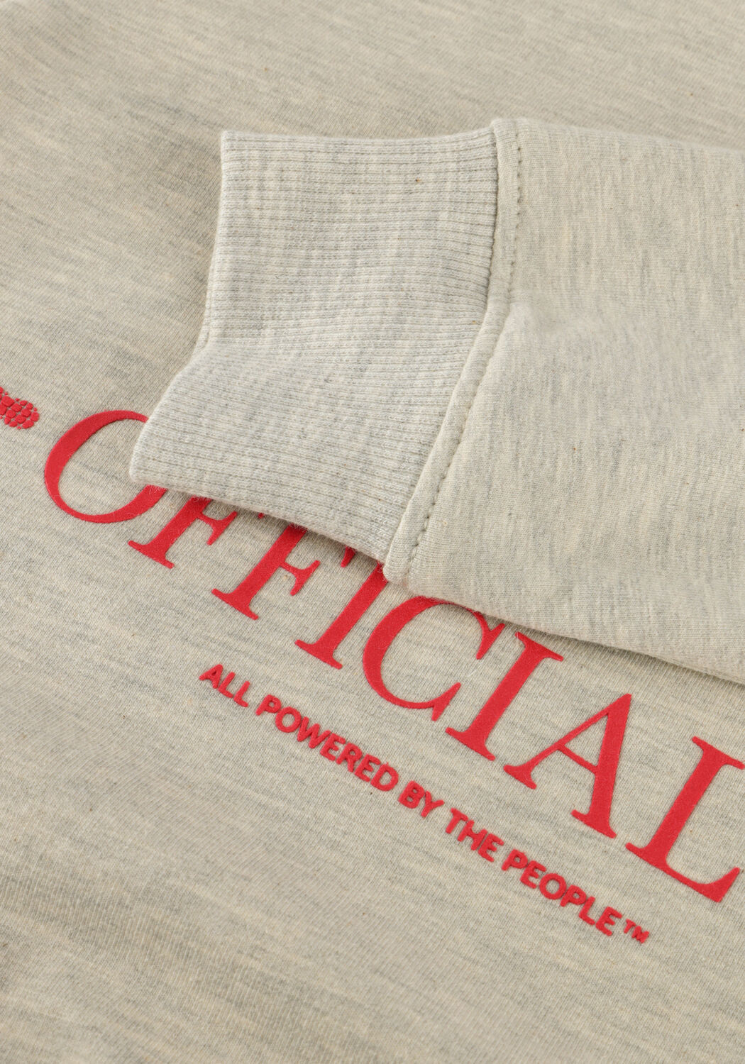 Hellgrau RAIZZED Pullover NOFFICAL - large