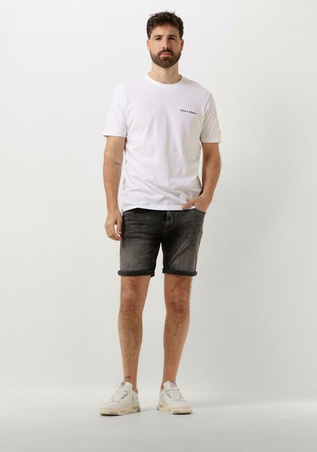 Graue PURE PATH Kurze Hosen W1288 THE STEVE - large