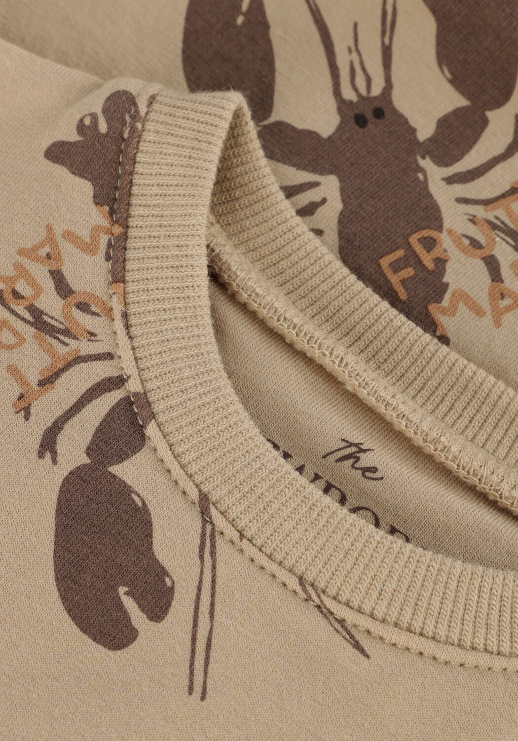 Beige Z8 Sweatshirt FRANCO - large