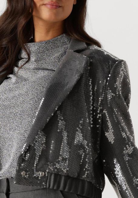 Graue AAIKO Blazer MILLE SEQUINS PES 356 - large