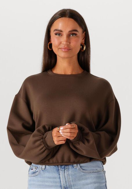 Braune MSCH COPENHAGEN Sweatshirt MSCHBRIONNA IMA Q SWEATSHIRT - large