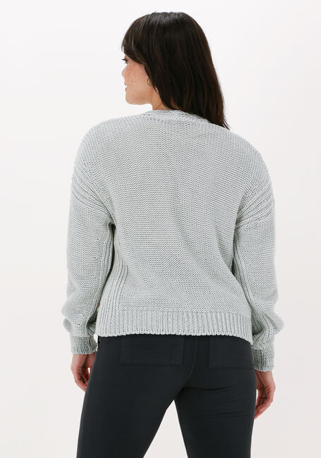 Grüne MOSCOW Strickjacke LAVISTA - large