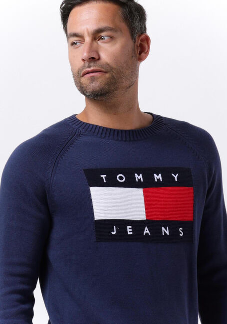 Dunkelblau TOMMY JEANS Pullover TJM REGULAR FLAG SWEATER - large