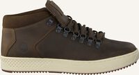 Grüne TIMBERLAND Sneaker High CITYROAM CUPALPINE CHUK Grüne TIMBERLAND Sneaker High CITYROAM CUPALPINE CHUK - medium
