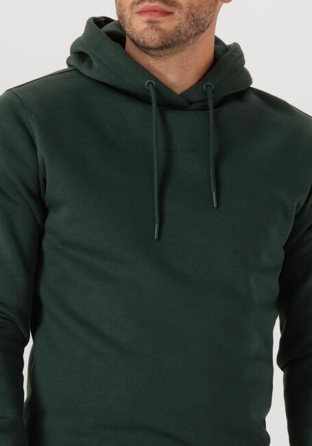 Dunkelgrün PURE PATH Sweatshirt REGULAR FIT HOODIE LS SWEATERS - large