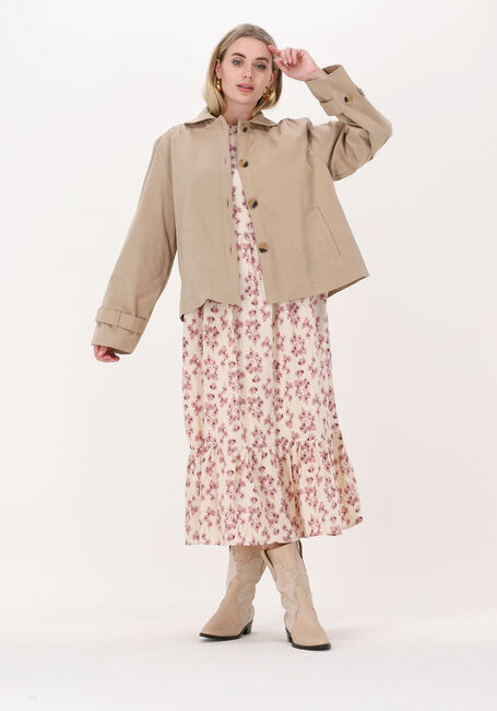 Sand LOLLYS LAUNDRY Jack VIOLA - large