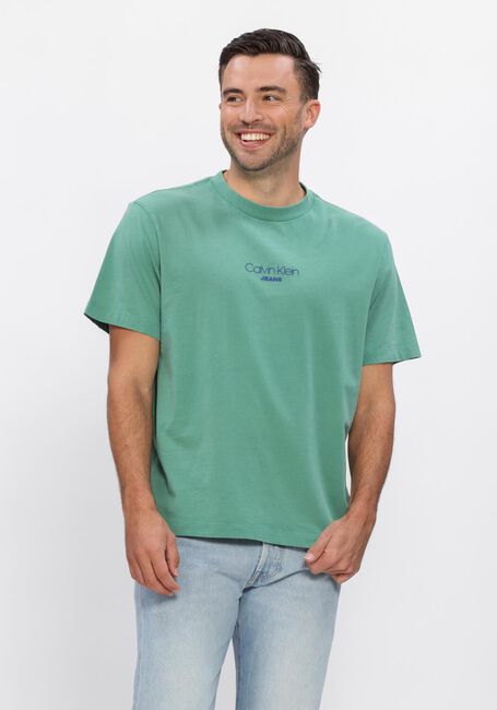 Gr&uuml;ne CALVIN KLEIN T-shirt SS 20S ACID WASH GRAPHIC CREWNK - large