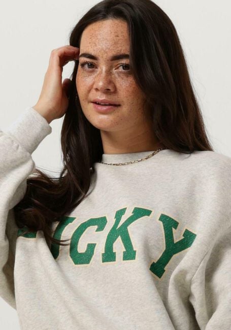 Hellgrau BY-BAR Pullover BIBI LUCKY VINTAGE SWEATER - large