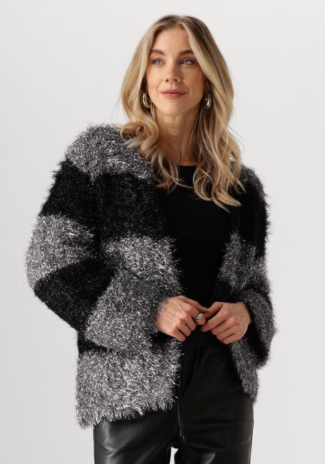 Silberne NUKUS Strickjacke HAILY CARDIGAN LUREX - large
