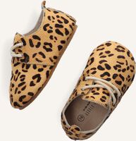 Cognacfarbene LITTLE INDIANS Sneaker OXFORD BOOTIES Cognacfarbene LITTLE INDIANS Sneaker OXFORD BOOTIES - medium