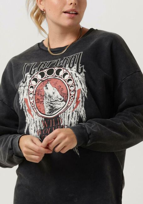 Graue COLOURFUL REBEL Minikleid WOLVES CLUB ACID WASH DROP. SH. SWEAT DRESSIO - large