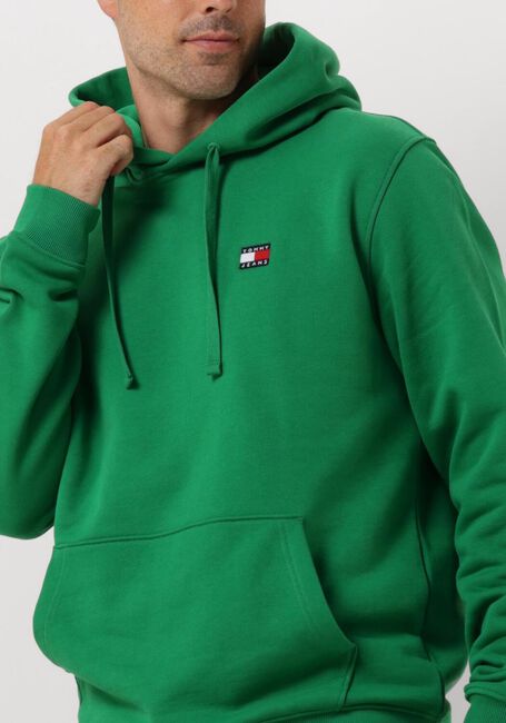 Grüne TOMMY JEANS Sweatshirt TJM REG BADGE HOODIE - large