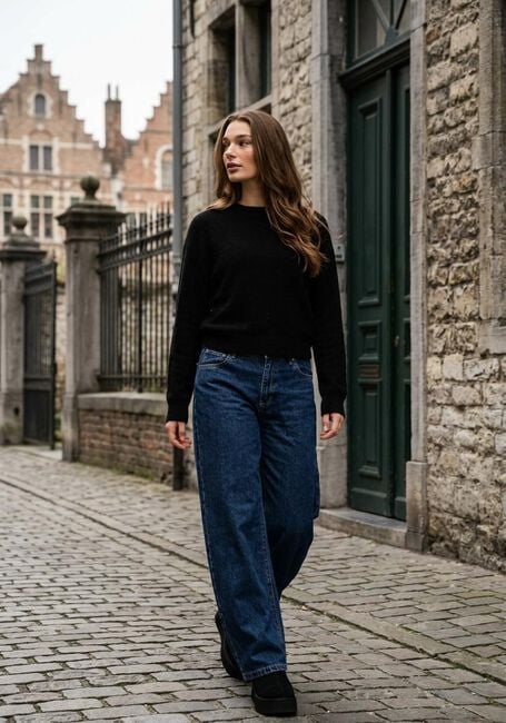 Schwarze MSCH COPENHAGEN Pullover MSCHFESTINA HOPE PULLOVER - large