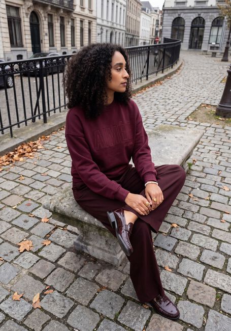Bordeaux AIMEE THE LABEL Pullover & Cardigans BRAZILW6 SWEATER - large